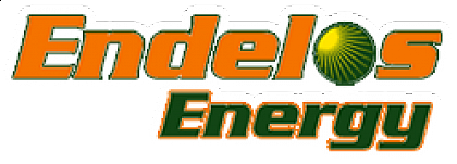 Randy Arntson, President and CEO, Endelos Energy, Inc